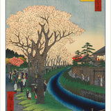 Hiroshige - Cherry Blossoms  -  Boxed Notecard Assortment - Set/20