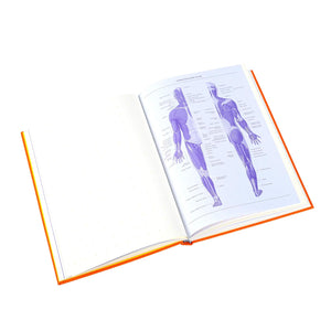 Grids & Guides Notebook - Orange