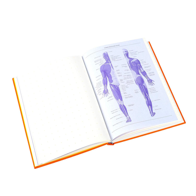Grids & Guides Notebook - Orange