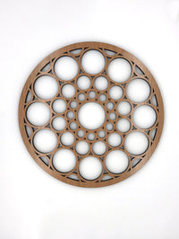 SC Johnson Medallion.