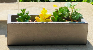 Concrete Succulent Box - Medium