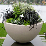 Ragen Vase Planter.