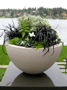 Ragen Vase Planter.