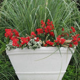 Shaston Vase Planter 27".