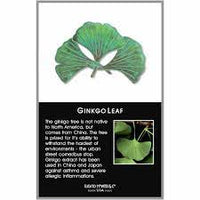 Ginkgo Leaf Pin