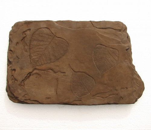 Fossil Stepstone.